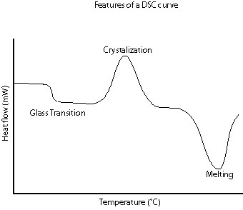 Figure 3. A schematic DSC curve demonstrating the appearance of several common features